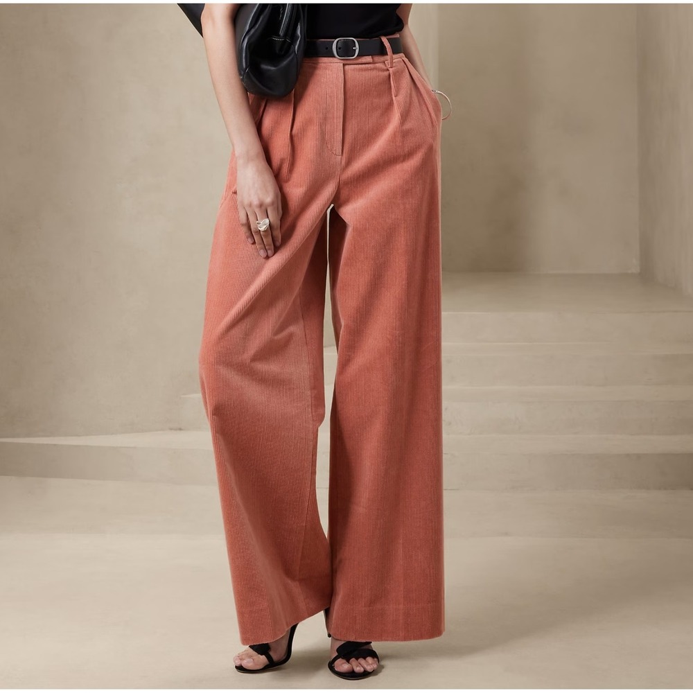 Banana Republic Rivoli Wide Leg Corduroy Pants Sz 4 Pink Pleated High Waist